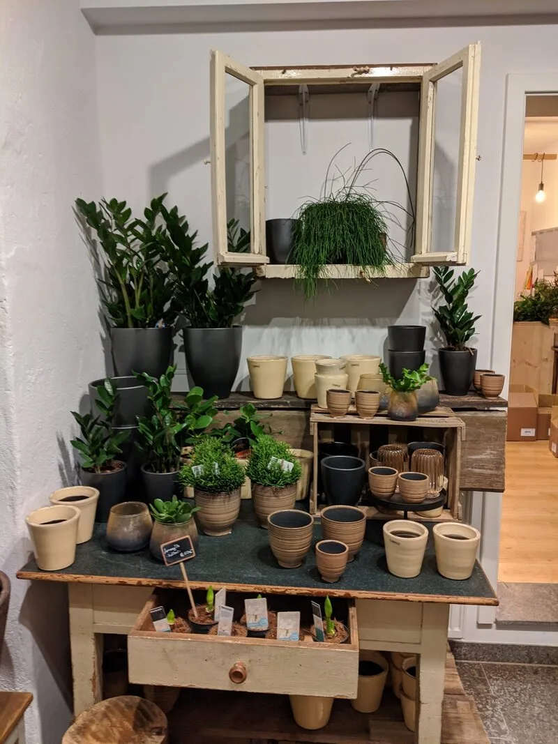 Eindruck aus dem Blumenladen NaturGlück