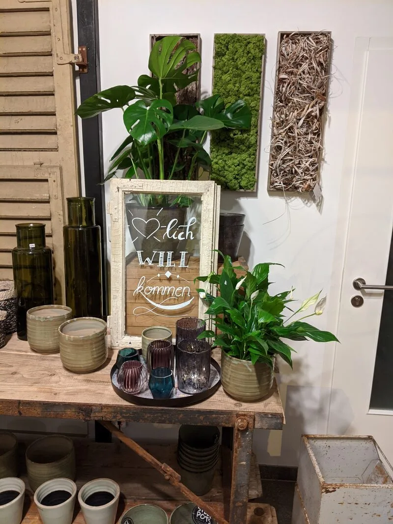 Eindruck aus dem Blumenladen NaturGlück