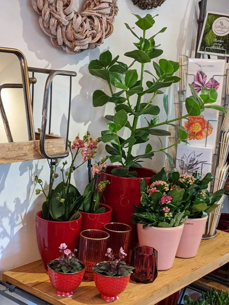 Eindruck aus dem Blumenladen NaturGlück