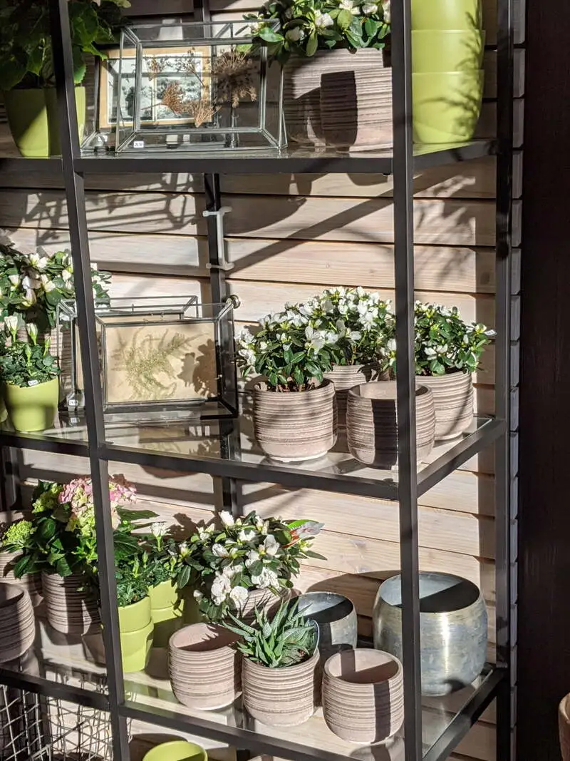 Eindruck aus dem Blumenladen NaturGlück
