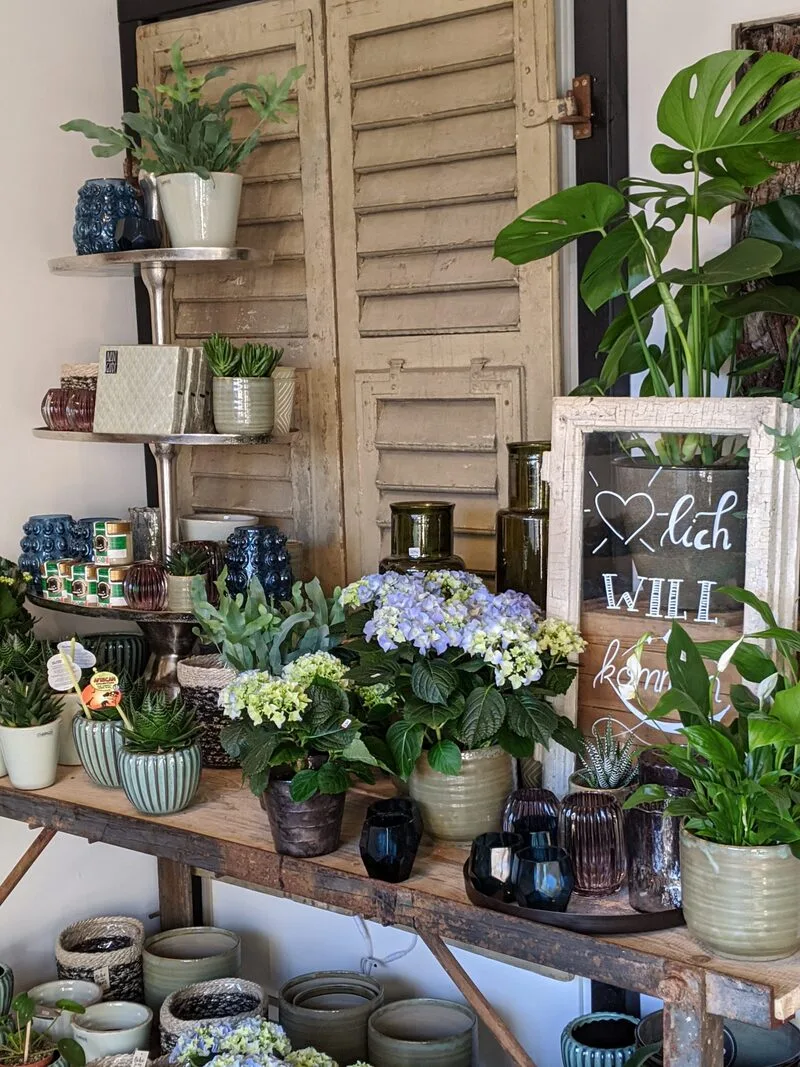 Eindruck aus dem Blumenladen NaturGlück
